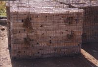 Steinkrbe (Gabionen) mit noch sichtbaren Transportschlaufen