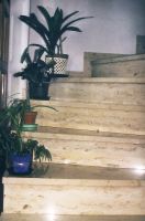 Wendeltreppe Juramarmor gelb